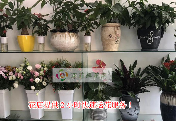 广州黄埔区花店提供广州黄埔区2小时快速送花服务